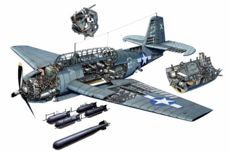 TBF-1 Avenger cutaway 